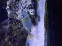 20170706_182157.jpg