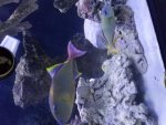 20170706_182159.jpg