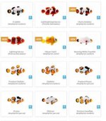 Untitled picture.jpg