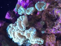 D227336F-D3F0-448A-8C82-405D044A1888.jpg
