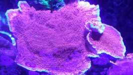20170922_150042.jpg