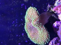 7F96E0F2-DF40-4839-8640-BA896572FD0C.jpg