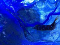 IMG_8159.jpg