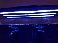 20170423_123613.jpg