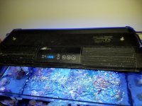 20170423_123557.jpg