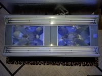 20161208_174821.jpg