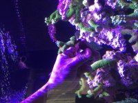 IMG_2364.jpg
