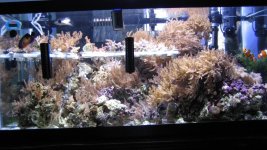 IMG_3354.jpg