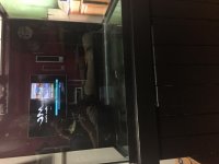 IMG_6283.jpg