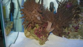 IMG_3343.jpg