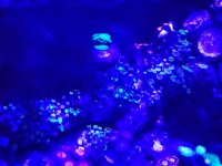 20170424_211141.jpg