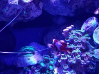 20170422_164714.jpg