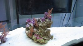 IMG_3349.jpg