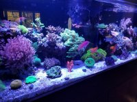 IMG_20171123_111121_219.jpg