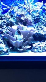 IMG_1533.jpg