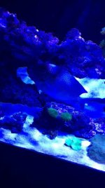 IMG_2728.jpg