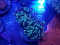 20170923_172055.jpg