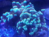 20170923_172123.jpg