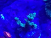 20161209_204323.jpg
