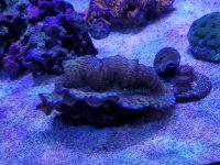 20170923_132448.jpg
