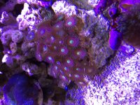 IMG_5647.jpg