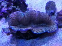 20170923_132327.jpg