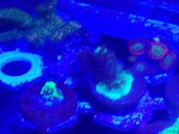 20161209_204015.jpg