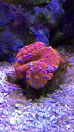 IMG_6018.jpg