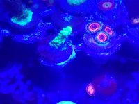 20161209_203951.jpg