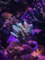 IMG_3574.jpg