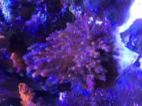 IMG_3783.jpg