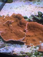 IMG_3568 2.jpg