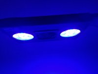 20180314_185348.jpg