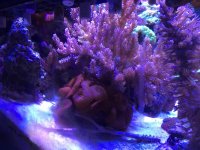 IMG_3784.jpg