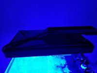 20180314_185358.jpg