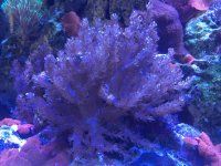 IMG_7699.jpg