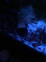 IMG_3574.jpg IMG_3574.jpg