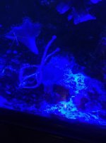 IMG_3571.jpg IMG_3571.jpg