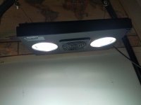 20170425_210054.jpg