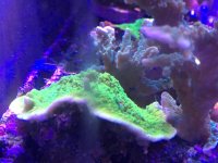 IMG_3795.jpg