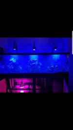 Screenshot_20180606-122230.jpg