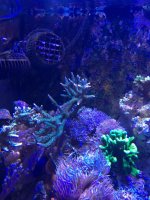 IMG_3793.jpg
