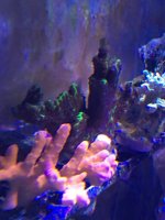 IMG_3794.jpg