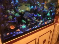 IMG_0420.jpg