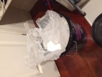 IMG_0973 salt.JPG
