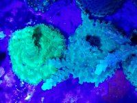 20170708_185435.jpg