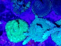 20170708_185401.jpg