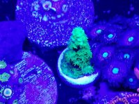 20170708_185327.jpg