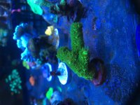 IMG_0206.jpg