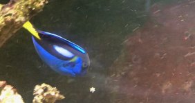 IMG_2268.jpg